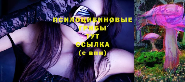 ешки Арсеньев